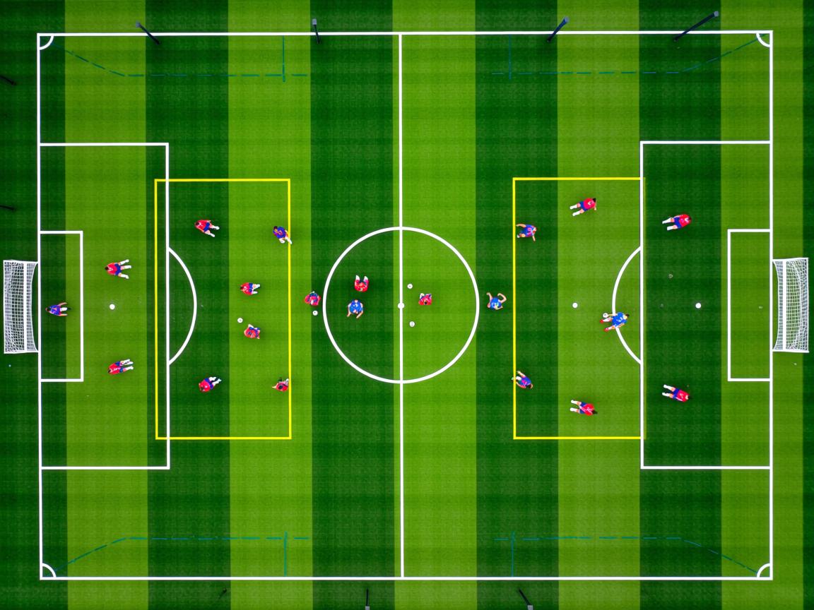 开云体育在线官网-大数据结合体质测评推进个性训练普及,大数据支撑下学生个性化发展评价探索 第3张